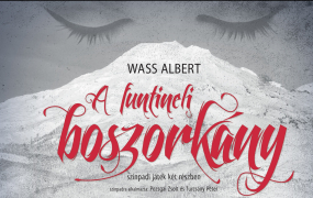 MŰSORVÁLTOZÁS június 5–én!